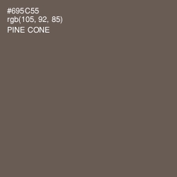 #695C55 - Pine Cone Color Image